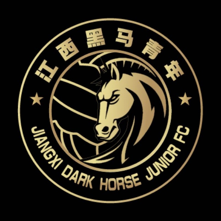  官方：江西黑馬青年完成異地遷移程序，更名為溫州職業(yè)足球俱樂部